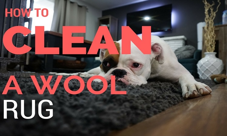 How To Clean A Wool Carpet