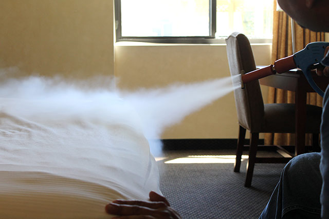 steam-cleaning-mattress-to-kill-bedbug