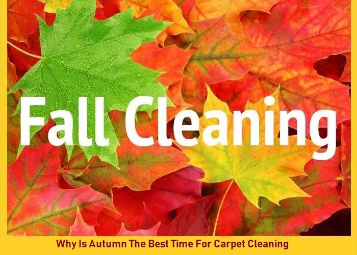 Why Is Autumn The Best Time For Carpet Cleaning?